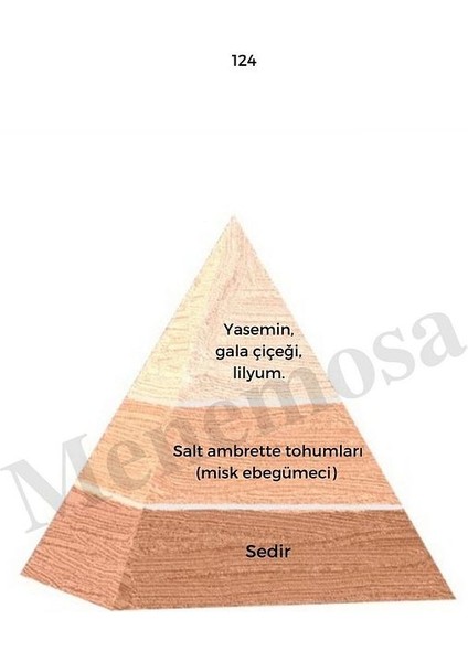 124 Kadın Parfüm Edp 50 ml Floral - MNMS50124 fiyatları