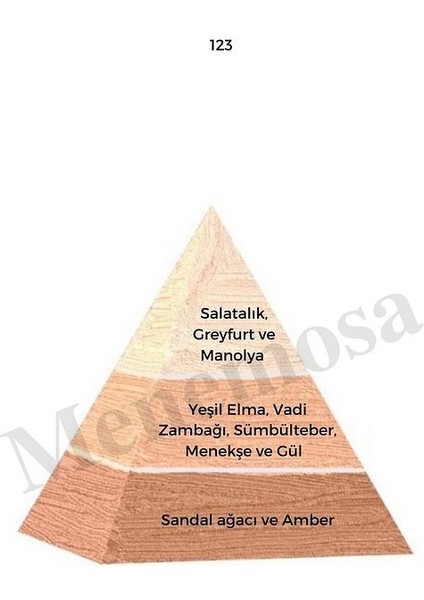 123 Kadın Parfüm Edp 50 ml Floral - MNMS50123 fiyatları