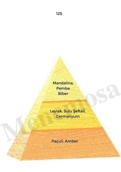 125 Kadın Parfüm Edp 50 ml Oriental - MNMS50125 fiyatları