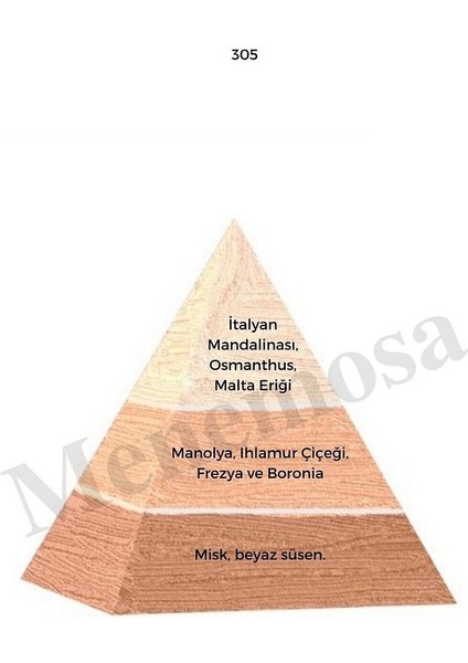 305 Kadın Parfüm Edp 50 ml Floral - MNMS50305 fiyatları