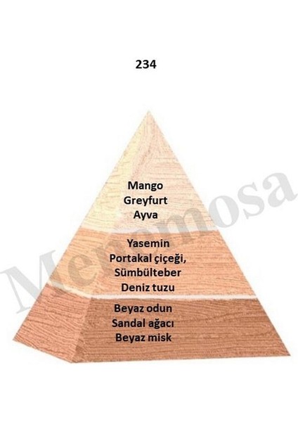 234 Kadın Parfüm Edp 50 ml Floral - MNMS50234 fiyatları