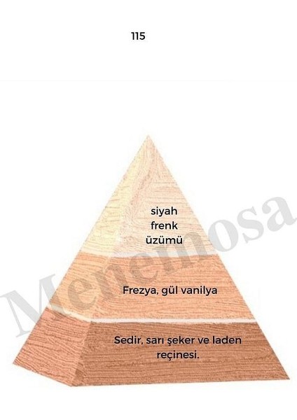 115 Kadın Parfüm Edp 50 ml Floral - MNMS50115 fiyatları