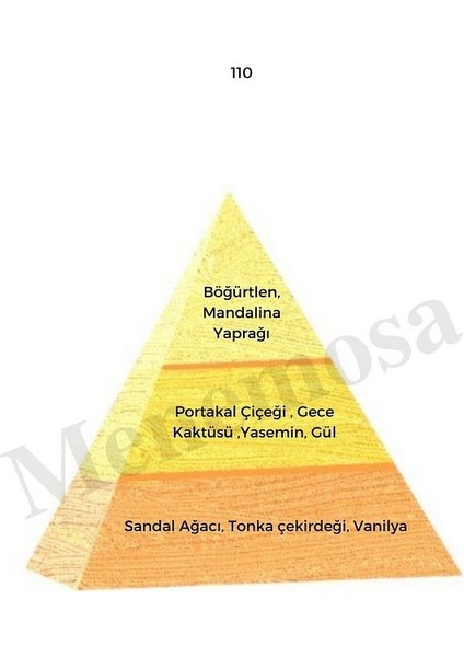 110 Kadın Parfüm Edp 50 ml Oriental - MNMS50110 fiyatları