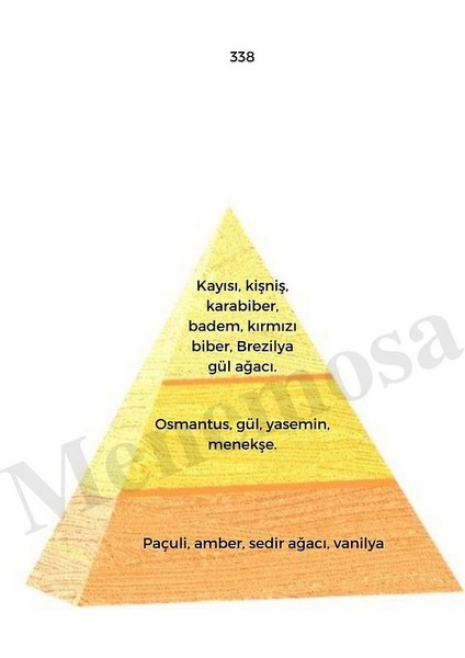 338 Kadın Parfüm Edp 50 ml Oriental - MNMS50338 fiyatları