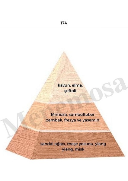 174 Kadın Parfüm Edp 50 ml Floral - MNMS50174 fiyatları