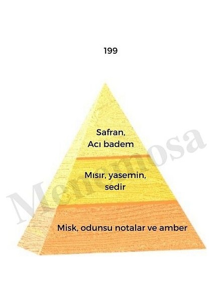 No: 199 NO: 554 Unisex Parfüm EDP 50 ml Oriental / Floral - MNMS50NO199554 fiyatları
