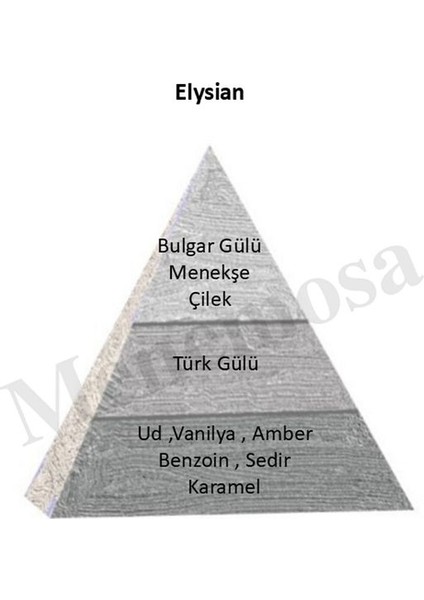 Niche Paradise Edition Elysian Unisex Extrait De Perfume 75 ml Woody - MNMS75ELYSIAN fiyatları