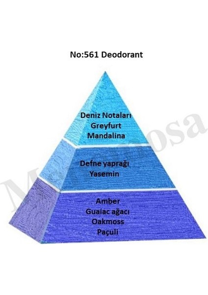 NO:561 Erkek Fresh Deodorant 150 ml - MNMS150NO561DEO fiyatları