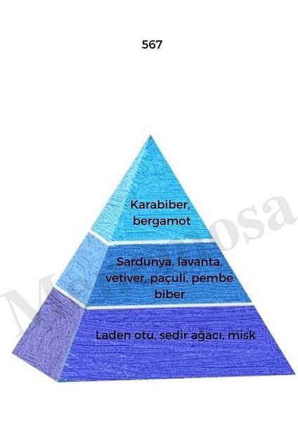 NO:567 Erkek Fresh Deodorant 150 ml - MNMS150NO567DEO fiyatları
