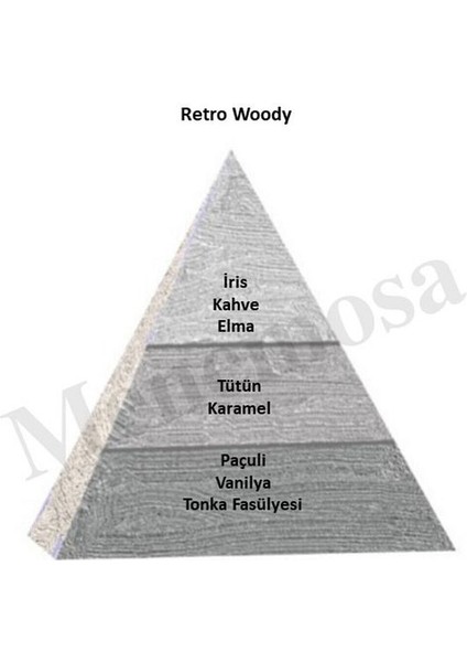 Nıche Retro Woody Unısex 100 ml Extraıt De Perfume modelleri