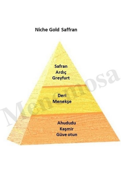 Niche Gold Saffran Unisex Extrait De Perfume 100 ml - MNMS100SAFFRAN fiyatları