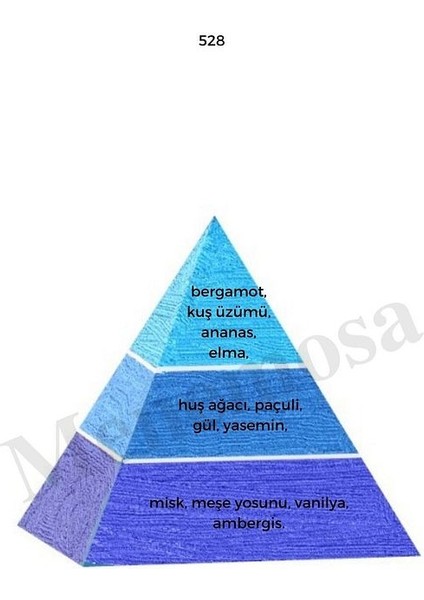 No: 528 + 408 Erkek / Kadın Parfüm EDP 50 ml Fresh / Floral - MNMS50NO528408 fiyatları