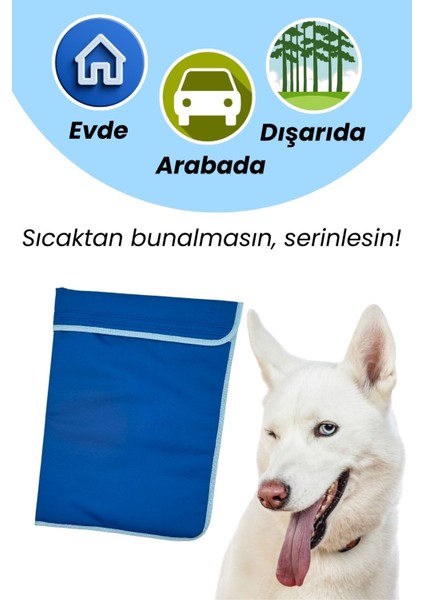 Serinletici Köpek Minderi 70×50 CM Mavi - 2 Jel Dahil Su Geçirmez ve Katlanabilir Kumaş