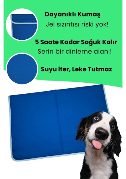 Koyu Mavi Küçük-Orta Irk Köpek Serinletici Minder 60X40 | 2 Termo Jel ile Soğutucu Köpek Yatağı