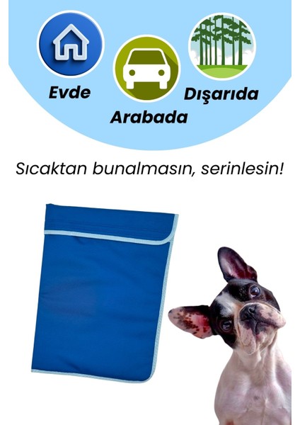 Koyu Mavi Küçük-Orta Irk Köpek Serinletici Minder 60X40 | 2 Termo Jel ile Soğutucu Köpek Yatağı
