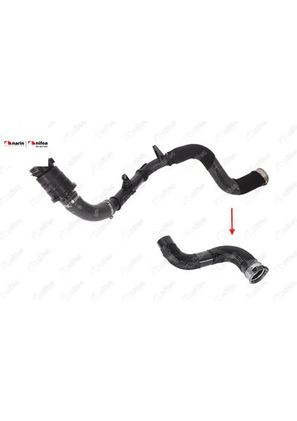 Turbo Hortumu Megane Iı-Scenıc-Fluence 1.6 Dci NIFEA11616