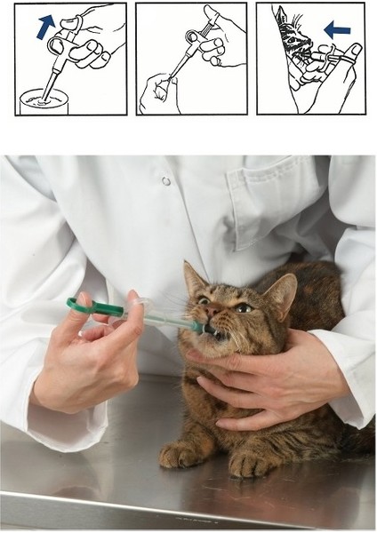 Corax-Vet Kedi Hap Yutturma Enjektörü (2 Adet)