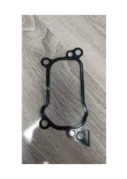 Peugeot Orjınal 1920.TQ Aksıyoner Contası