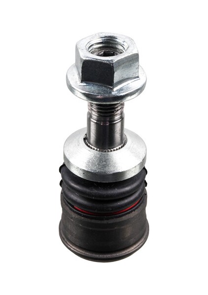 33104477 Rotıl Febı 178339