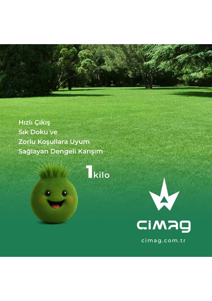 Çim Tohumu 6 Mix Grass Karışımı - 1 Kilo