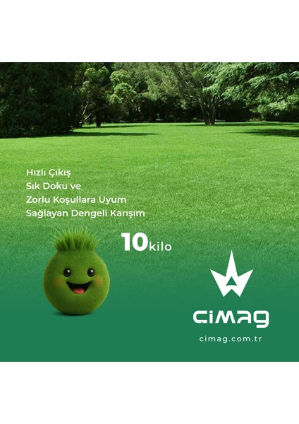 Çim Tohumu 6 Mix Grass Karışımı - 10 Kilo