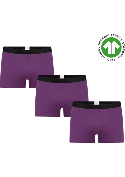 Gots Sertifikalı Organik Pamuk Erkek Trunk Boxer Iç Çamaşırı
