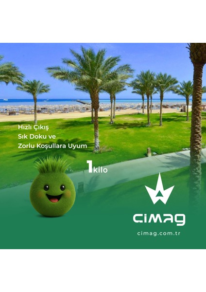 Sahil Bölgeleri Için Çim Tohumu (3 Mix Sunshine) - 1 Kilo