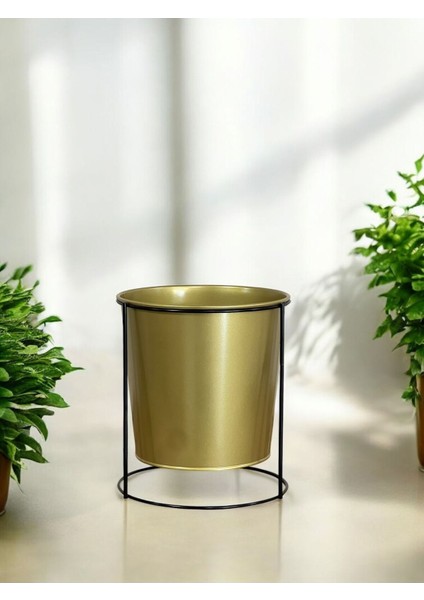 Ayaklı Saksı Gold fiyatları