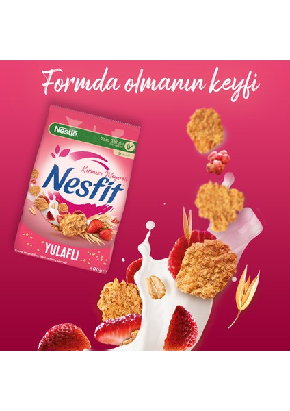 Nesfit Kırmızı Meyveli 400 gr