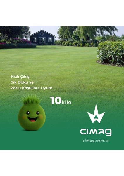 Soğuk Bölgeler Için Çim Tohumu - 10 Kilo