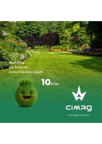 Park Için Çim Tohumu - 1 Kilo