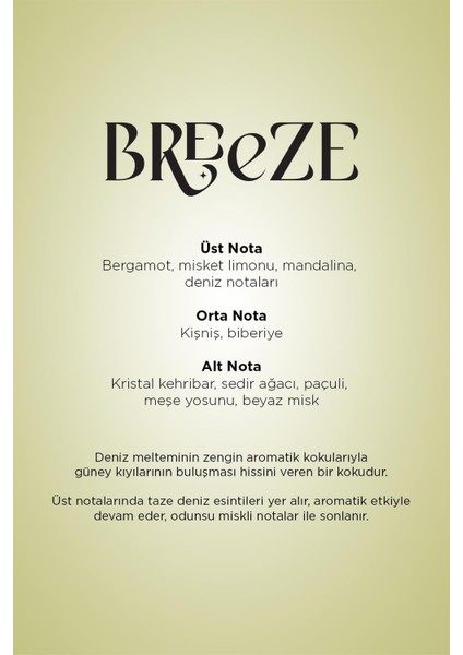 Geniş Ortam Kokusu Breeze 125 ml modelleri
