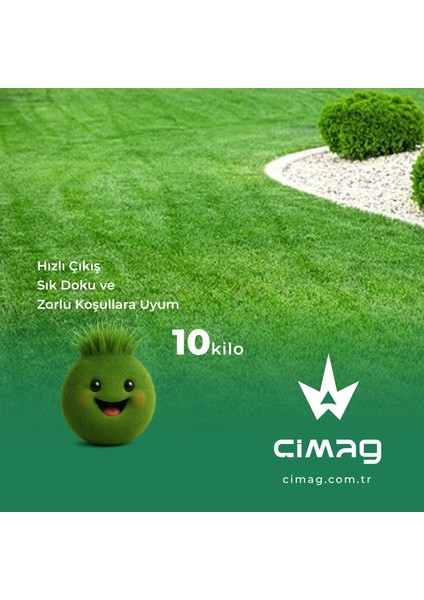Poa Pratensis Çim Tohumu - 10 Kilo (Çayır Salkım Otu)