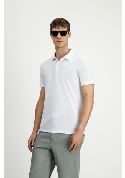 Polo Yaka Regular Fit Nakışlı Pamuklu Tişört