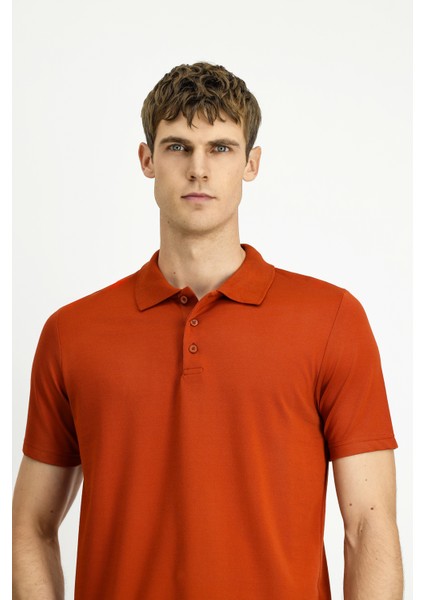 Polo Yaka Regular Fit Nakışlı Pamuklu Tişört