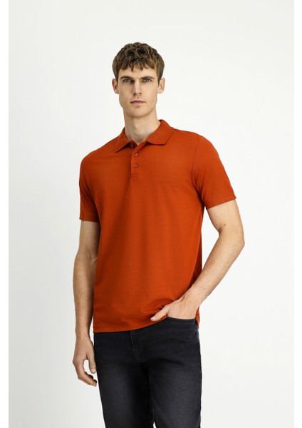 Polo Yaka Regular Fit Nakışlı Pamuklu Tişört