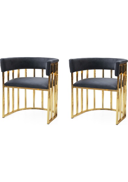 2 Adet Karaca Tekli Berjer Babyface Kumaş Gold Metal Iskelet