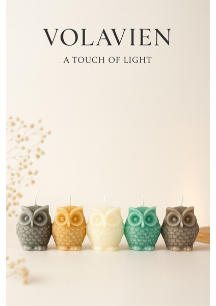 -Mum Baykuş fiyatları