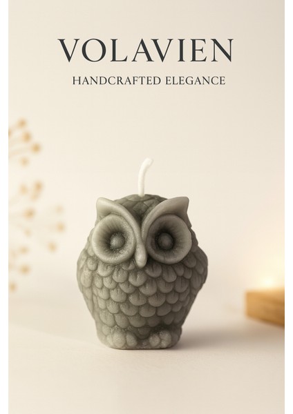 -Mum Baykuş modelleri