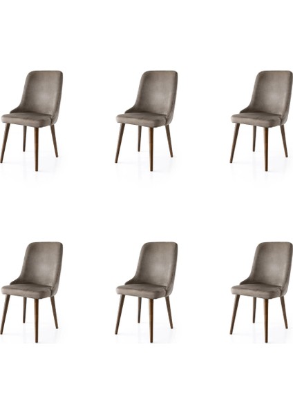 6 Adet Sahra Gold Toka Detaylı Sandalye Babyface Kumaş Ahşap Ayak