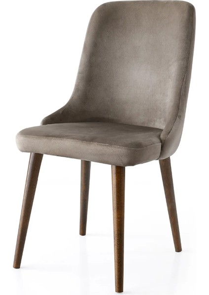 6 Adet Sahra Gold Toka Detaylı Sandalye Babyface Kumaş Ahşap Ayak modelleri