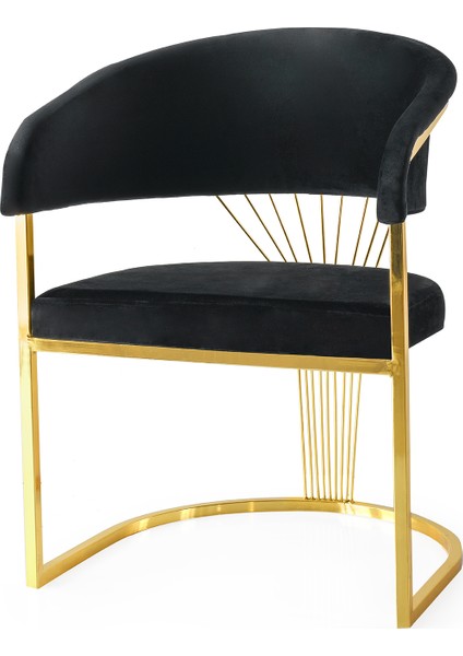 4 Adet Alaçatı Gold Metal Iskelet Sandalye Babyface Kumaş fiyatları