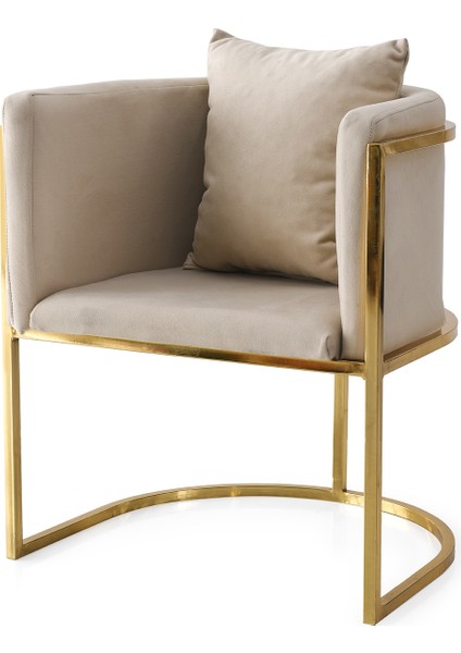 6 Adet Reyhan Gold Tekli Berjer Sandalye Babyface Kumaş modelleri