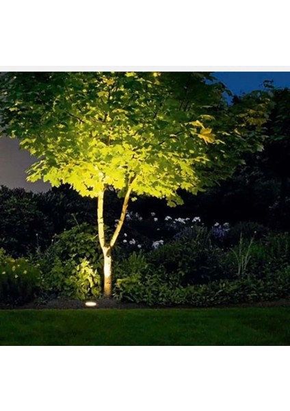 Inoled 2 Adet Solar Bahçe Armatür - Gün Işığı