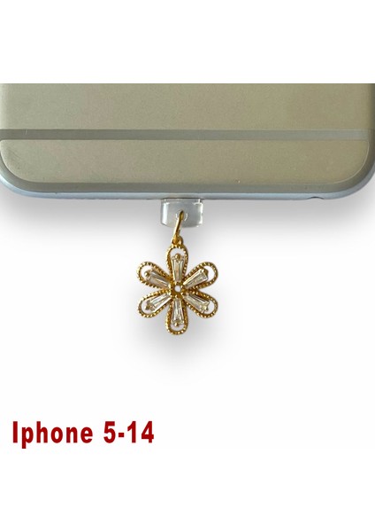 Iphone 5-14 Uyumlu Telefon Şarj Portu Toz Tıpası Toz Tıkacı Charm IPGL4021