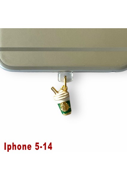 Iphone 5-14 Uyumlu Telefon Şarj Portu Toz Tıpası Toz Tıkacı Charm IPGL4015