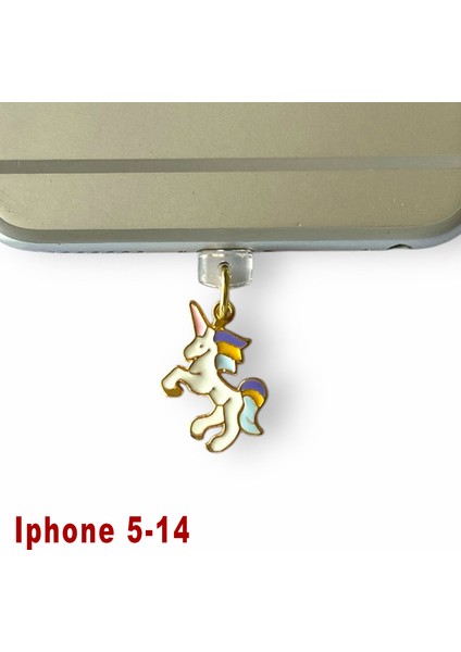 Iphone 5-14 Uyumlu Telefon Şarj Portu Toz Tıpası Toz Tıkacı Charm IPGL4002