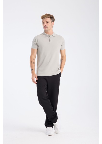 Erkek Regular Fit Polo T-Shirt Gri fiyatları