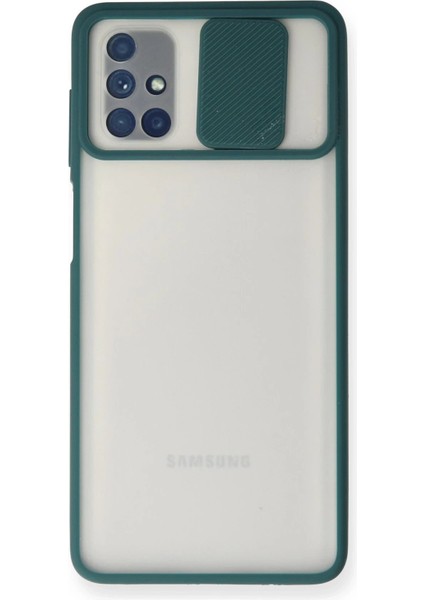 Samsung Galaxy M51 Kılıf Palm Buzlu Kamera Sürgülü Silikon - Yeşil - PZRCR1313-3040