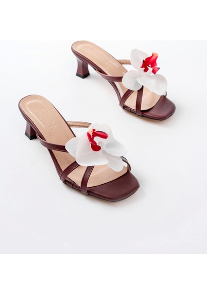 S-622 Bordo Orkide Detaylı Ince Topuklu Kadın Terlik fırsatları